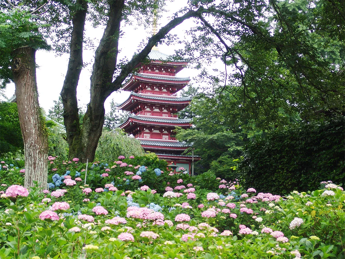 本土寺