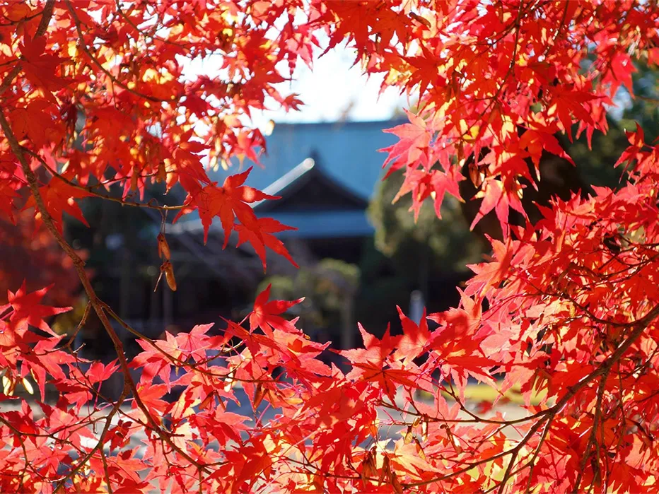 東漸寺