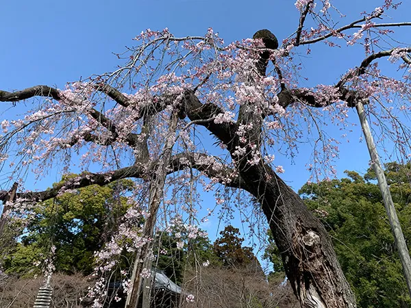 北小金の街並み