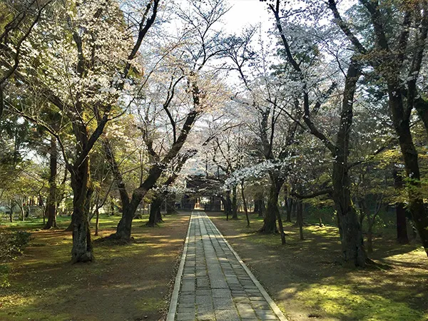 北小金の街並み